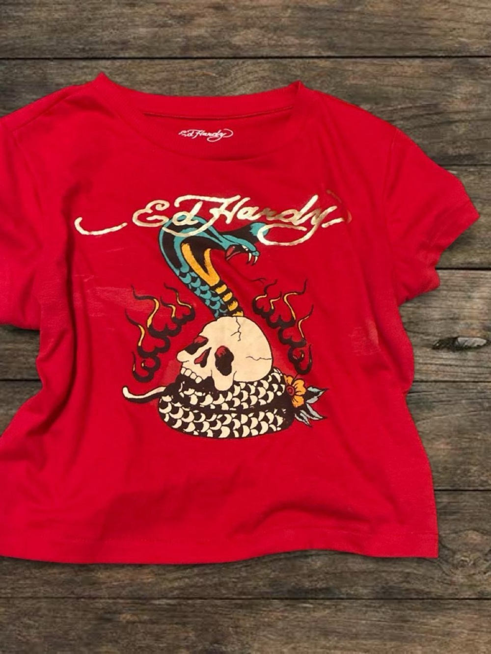 Ed Hardy Kids Red Graphic Tee with Snake & Skull